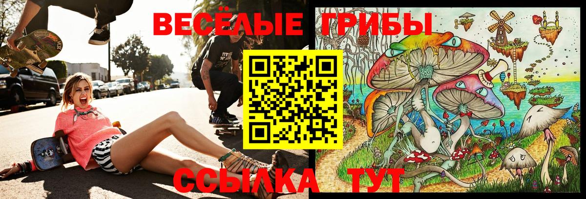 купить наркотики сайты  Галлюциногенные грибы прущие грибы  Лосино-Петровский  Вход с VPN  Галлюциногенные грибы Psilocybe 